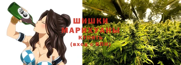 винт Лагань