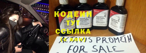винт Лагань